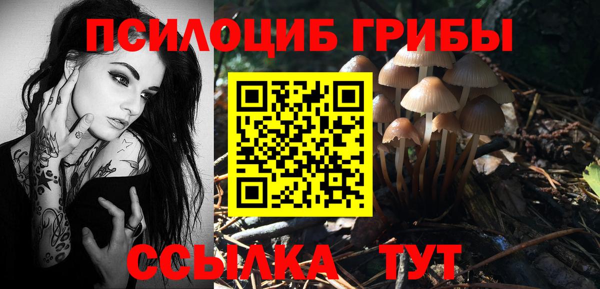 Галлюциногенные грибы Psilocybe  Псилоцибиновые грибы GOLDEN TEACHER  Арсеньев  Вход с VPN 