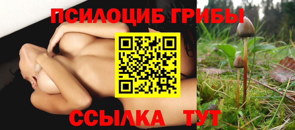 Галлюциногенные грибы MAGIC MUSHROOMS Арсеньев